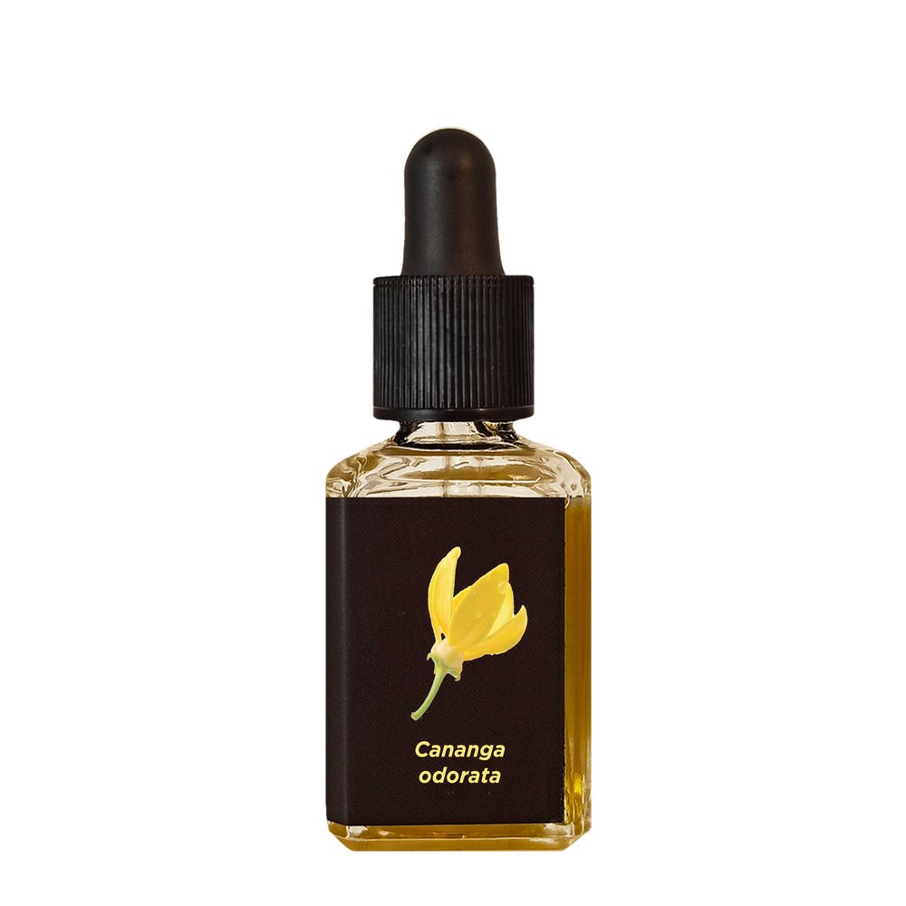 YLANG YLANG