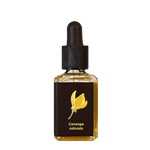 YLANG YLANG